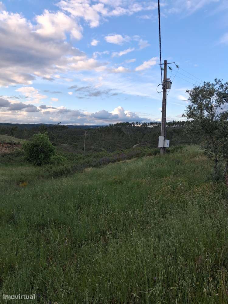 Moradia Isolada T4 em ruinas c/ 2 artigos urbanos e 1 terreno Rústico-6