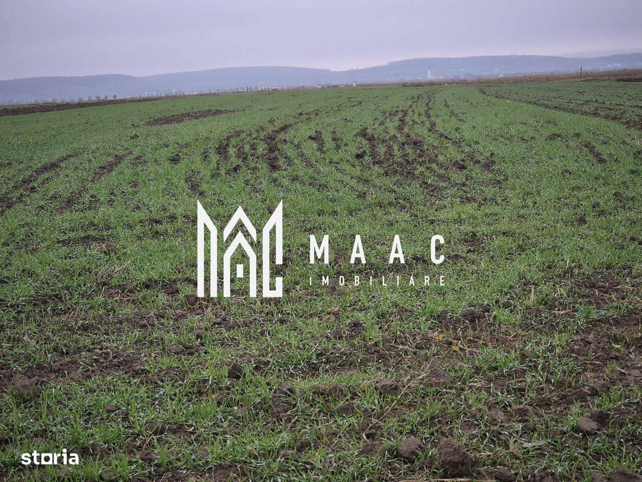 Teren extravilan | Gura raului | 2250 MP - Imagine principală: 3/3