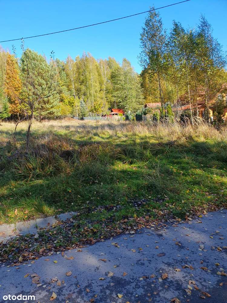 Działka w urokliwej okolicy w świętokrzyskim - Pełny obrazek: 4/4