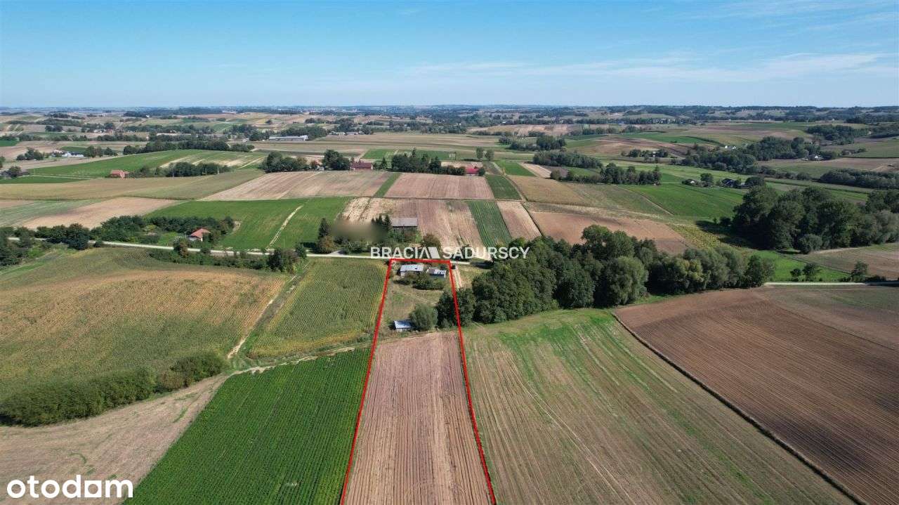 Działka, 7 730 m², Kazimierza Wielka - Pełny obrazek: 5/14