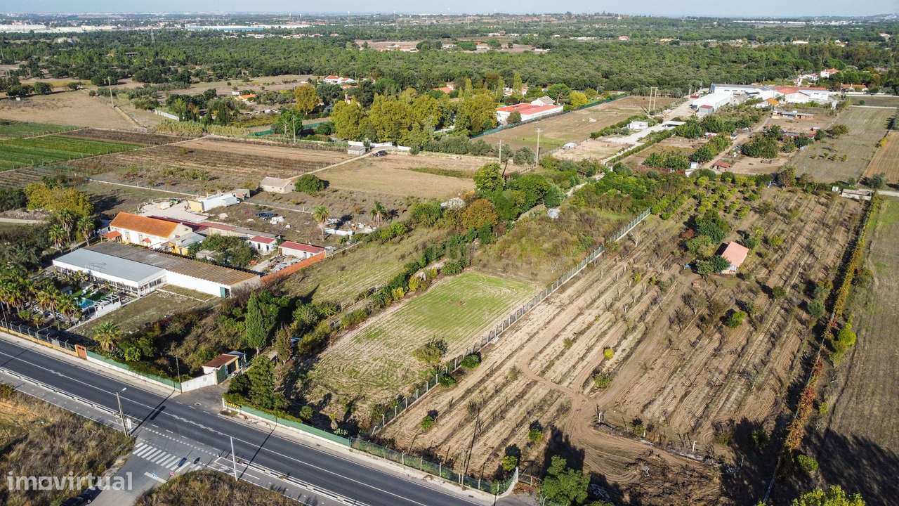 Terreno Rústico em Quinta do Anjo, Palmela - 11.800m2-4