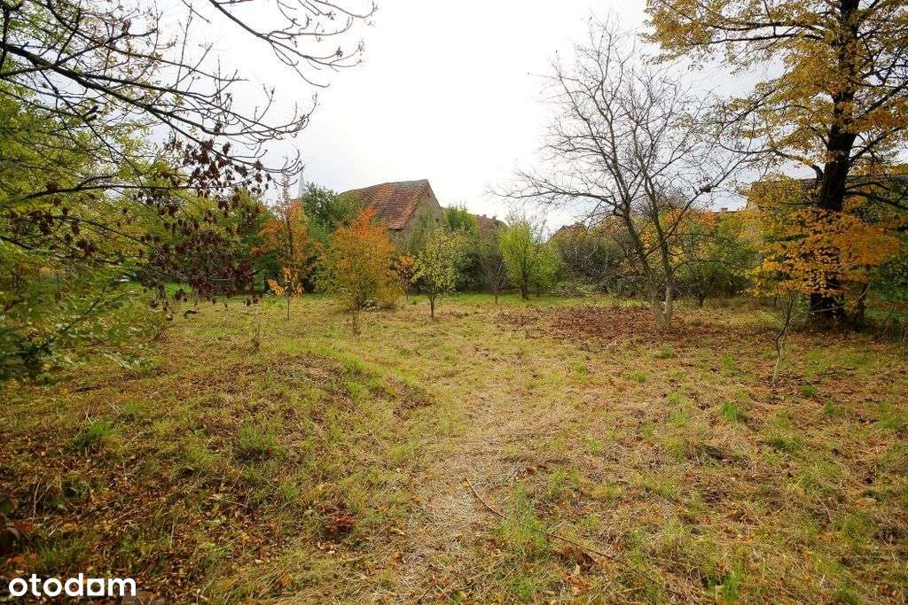 Budynek z obszerną działką z potencjałem-7