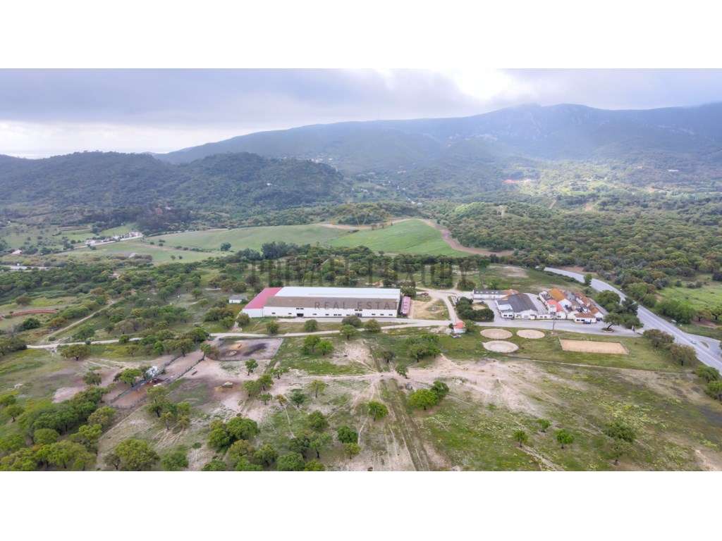 Herdade com 271 hectares na Serra da Arrábida - Setubal - Grande imagem: 3/60