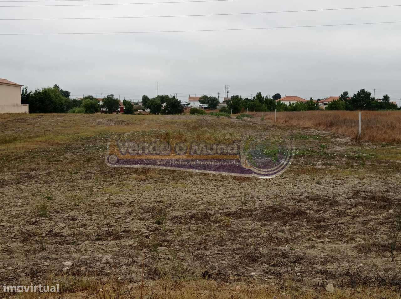 Terreno em Foros de Salvaterra (F698) - Grande imagem: 4/5