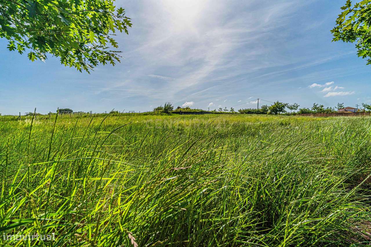 Terreno com 3200 m2  situado na aldeia de Dagorda, Concelho do Cadaval - Grande imagem: 5/8
