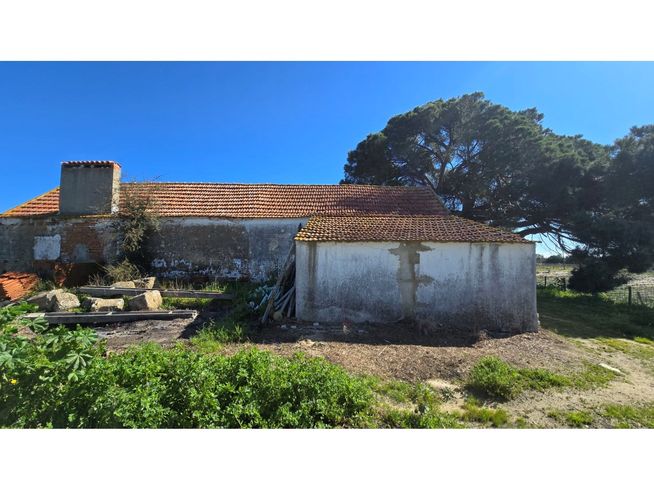 Herdade de 28.000m2 com vinha moscatel e habitações-17