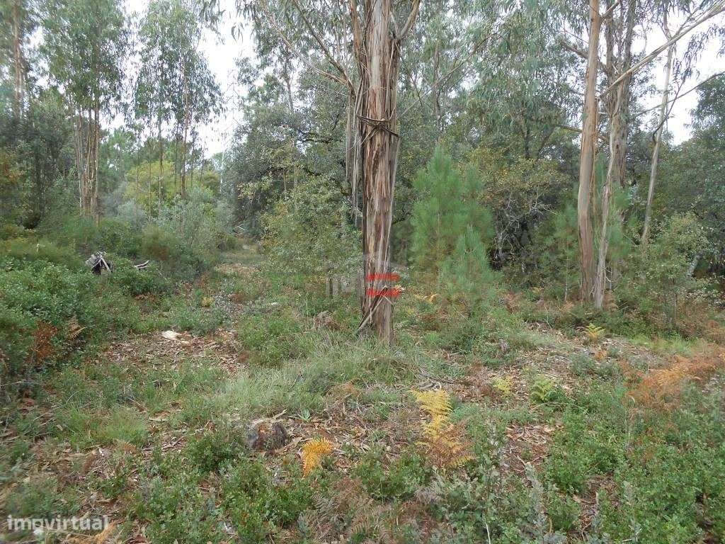 Terreno para Construção - Grande imagem: 2/14