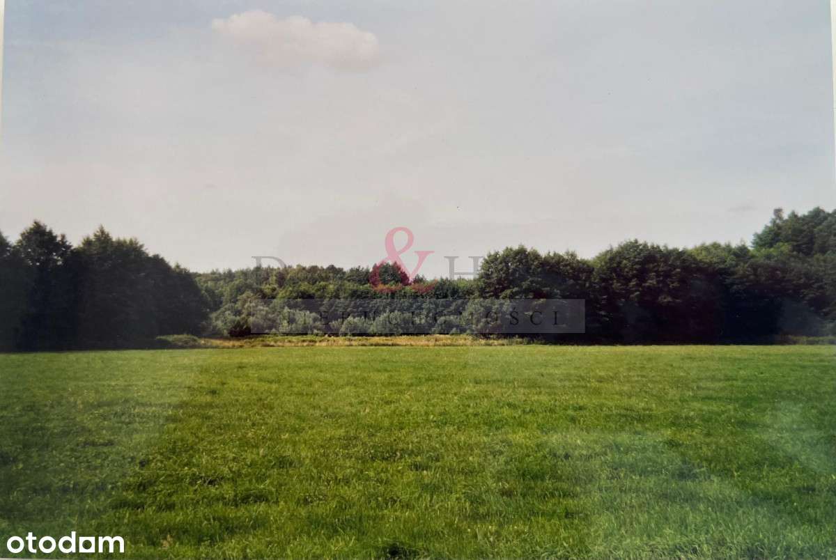 Urokliwa działka rolna w sercu natury - Pełny obrazek: 5/13