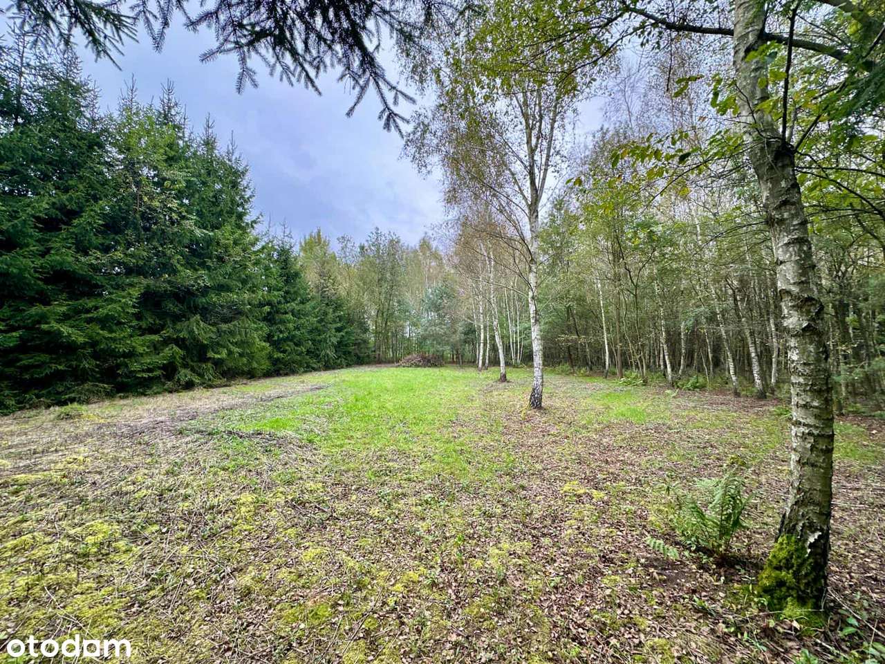 Piękna działka budowlana- Pustków.-0