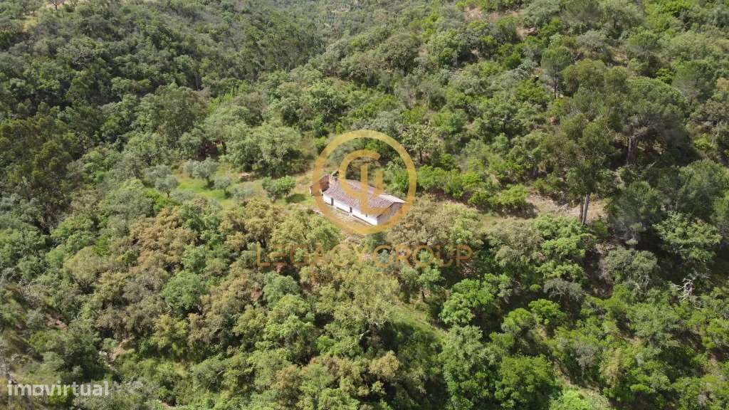 Quinta de 6 hectares perto de São Martinho das Amoreiras-19