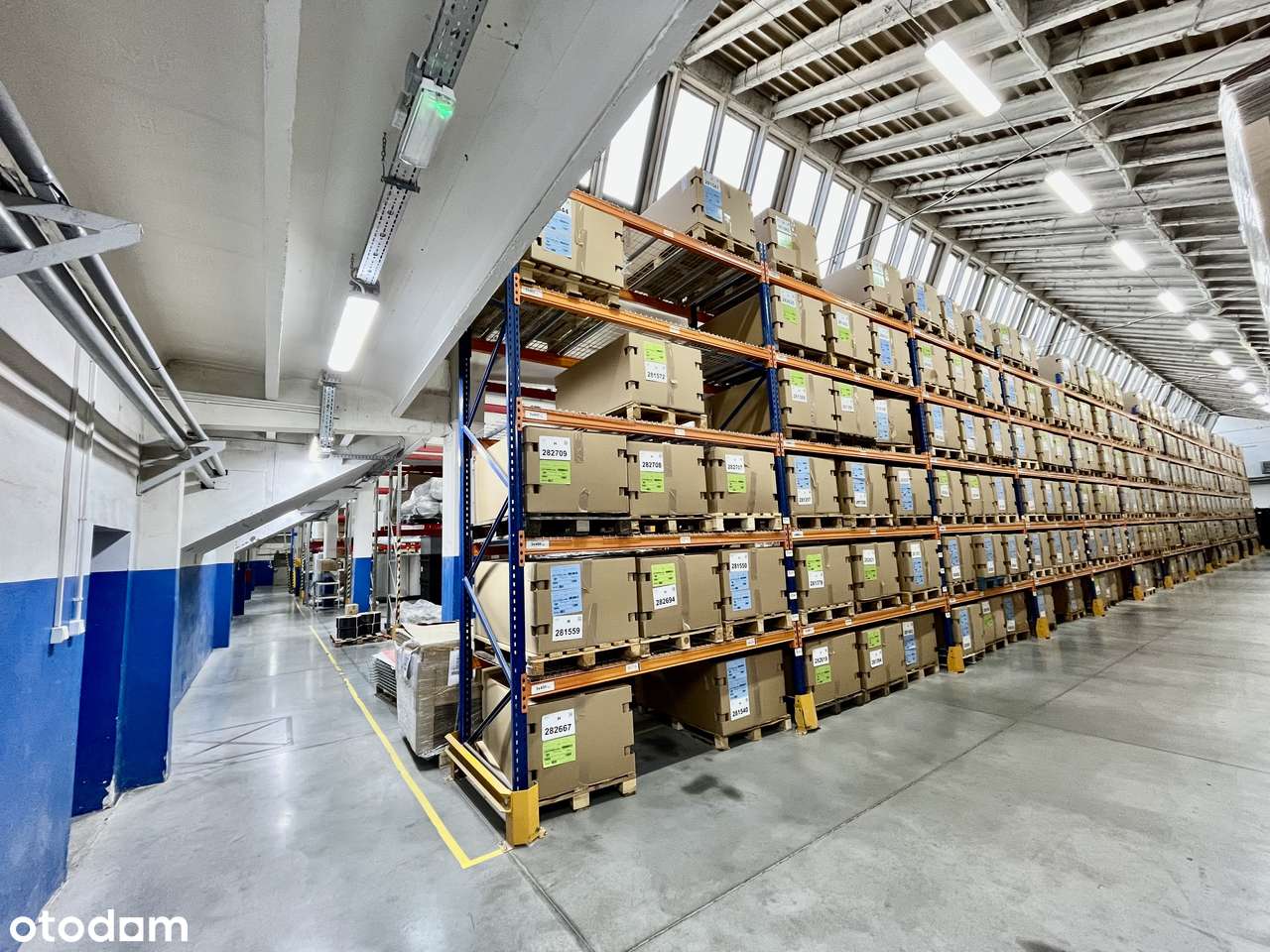 hala magazynowo-produkcyjna z biurem – centrum Łodzi, ul. Senatorska - Pełny obrazek: 2/18