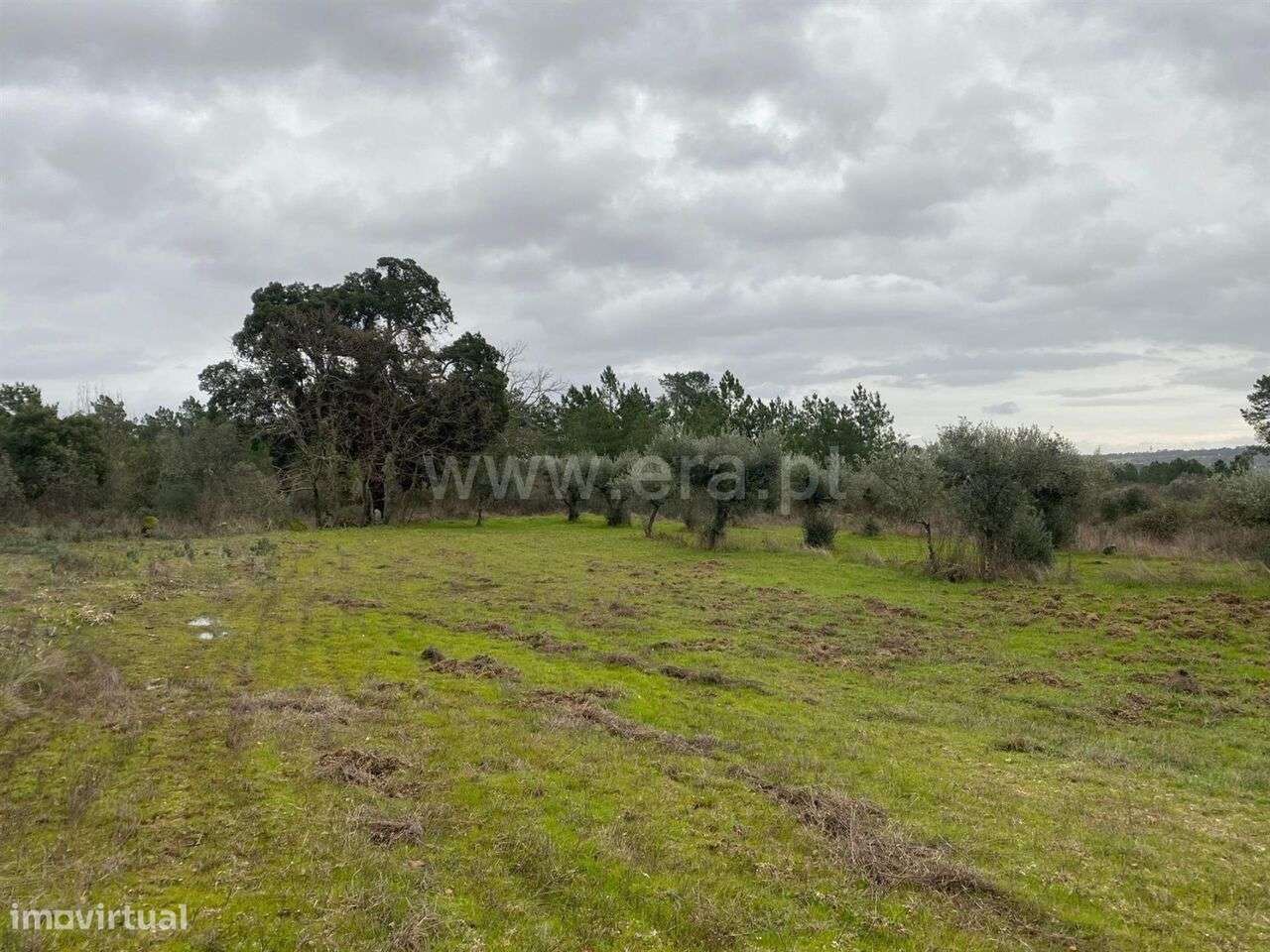 Terreno Rústico / Fundão, Orca - Grande imagem: 5/5