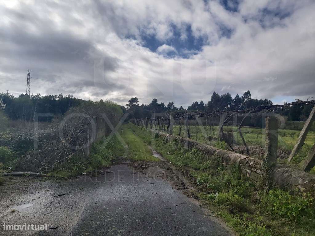 Lote Terreno Construção - Industrial - Mazarefes - Grande imagem: 2/9