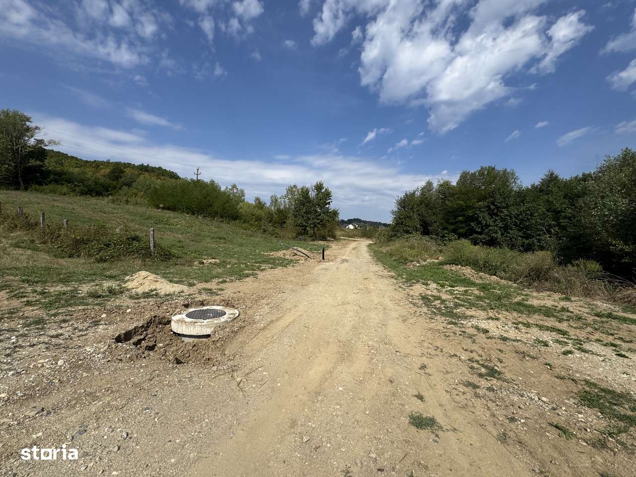 Teren și Pădure - Băbana - Imagine principală: 4/5