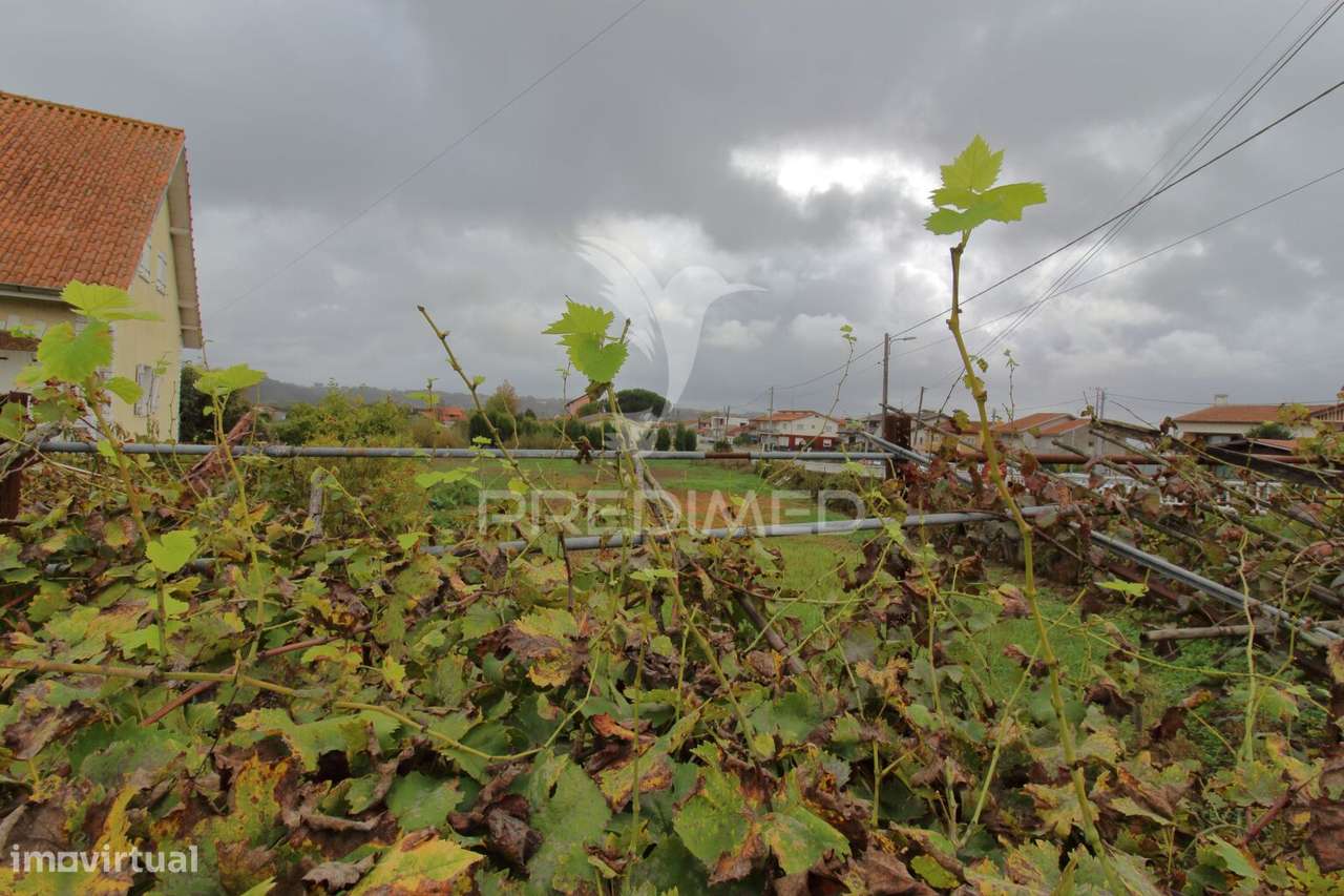 Terreno com 30 metros de frente para construção de moradia em Oiã - Grande imagem: 2/10