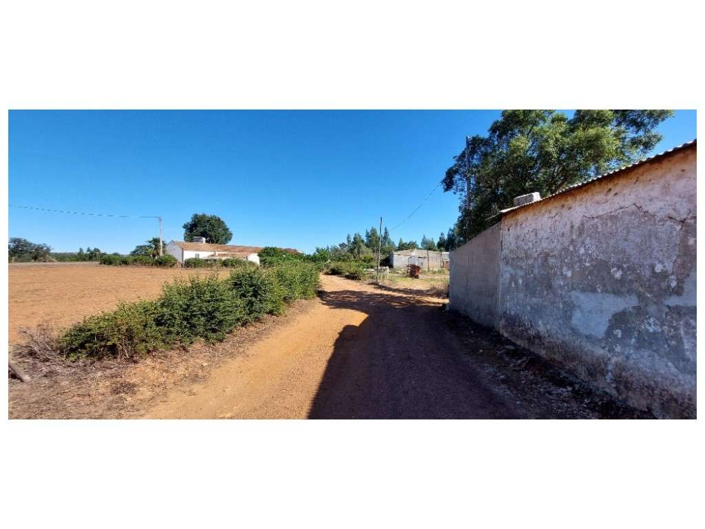 HERDADE - Colos - Grande imagem: 2/31