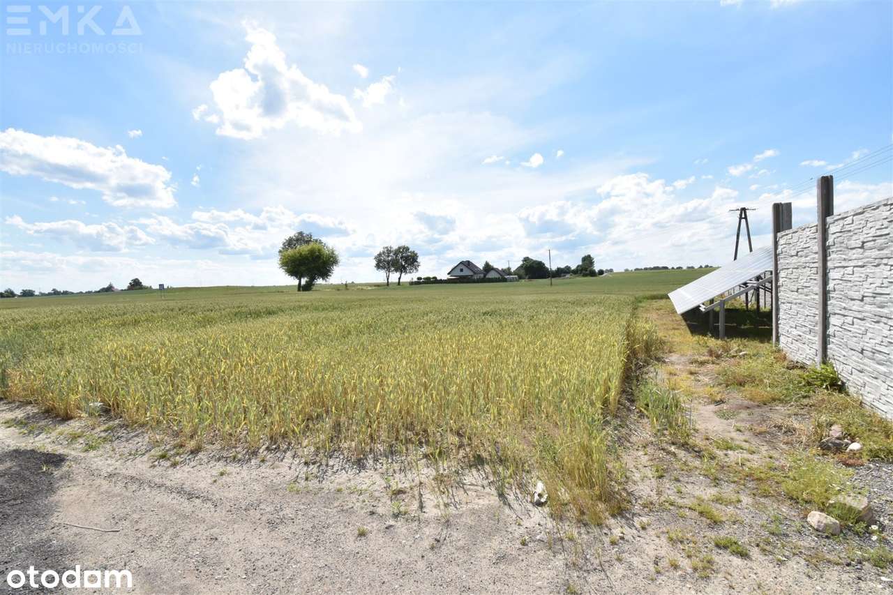 Dom + biuro + hala 5-stanowiskowa plac-15