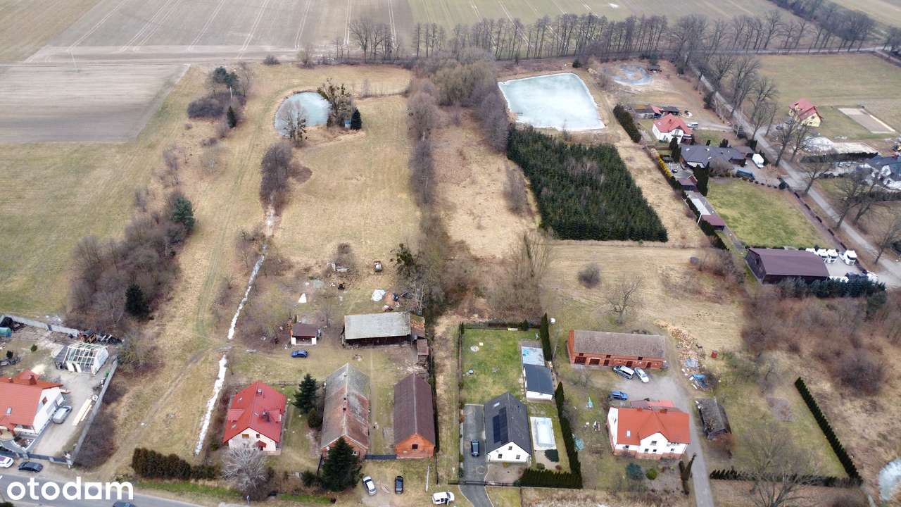 50 arów | Działka budowlana | Ogrodzona | Dojazd asfaltowy  Gogołowice-0