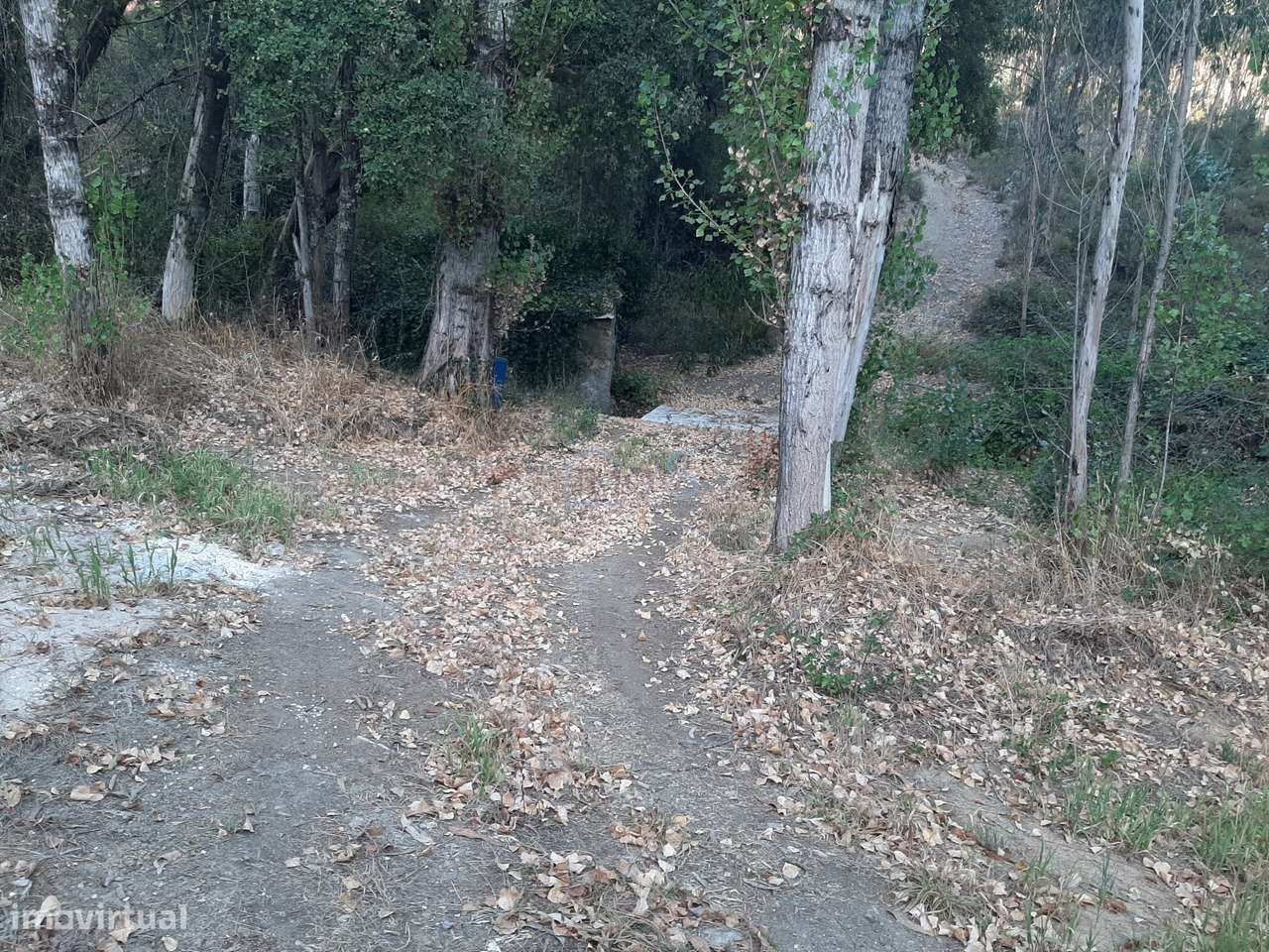 Terreno com Projeto Aprovado para Moradia em Besteiras – Águas Belas-32