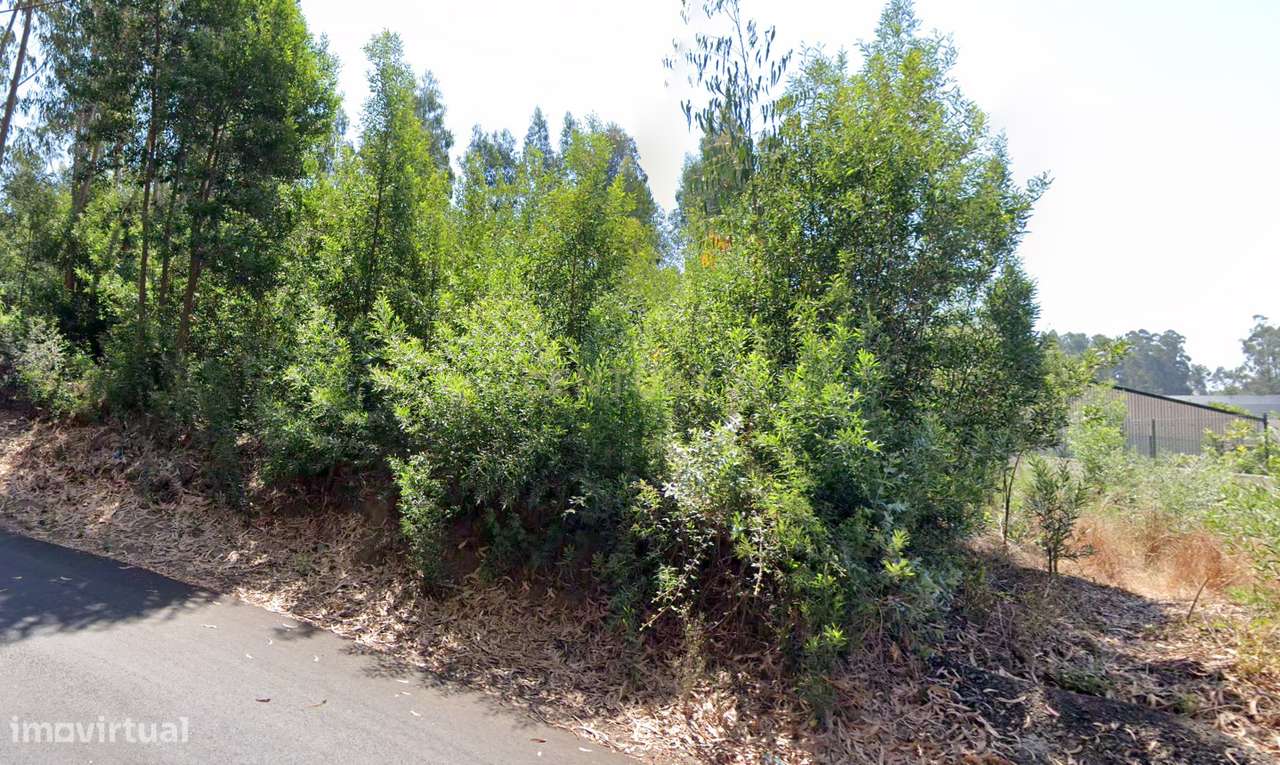 oportunidade para investidores - Grande imagem: 4/7