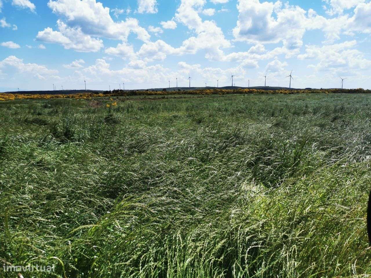 Exploração Agropecuária - Grande imagem: 3/4