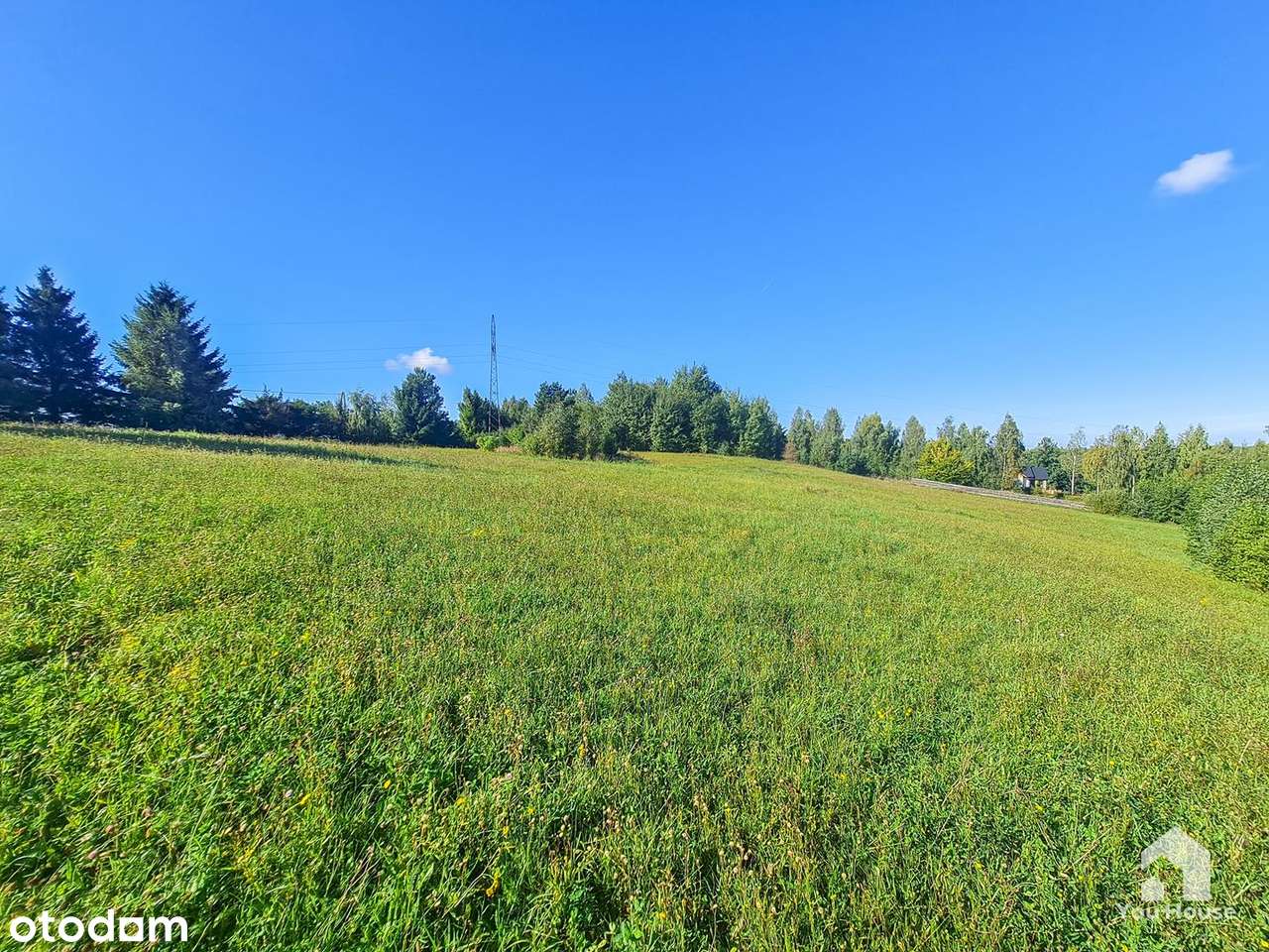 Działka nad Jeziorem Gryźliny - 2503 m2-16