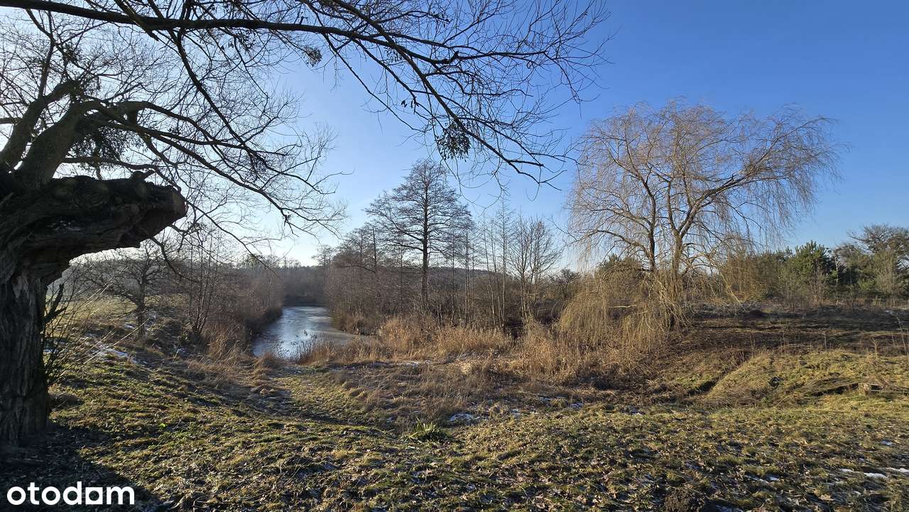 1,2 HEKTARA PRYWATNOŚCI – Rezydencja ze stawem i lasem pod Poznaniem-17