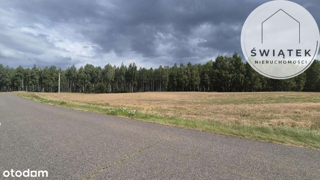 Działka z warunkami dla dewelopera, kolo Rypina - Pełny obrazek: 4/4