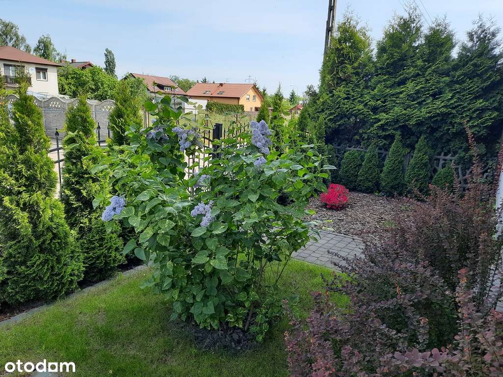 Dom jednorodzinny 190 m2 z instalacją PV 8 kW i klimatyzacją - Luboń - Pełny obrazek: 5/11