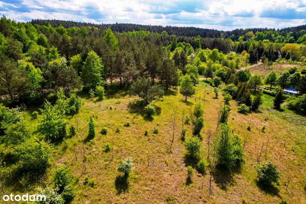 Działki budowlane w otoczeniu drzew  z dostępem do jez. Buwełno-18