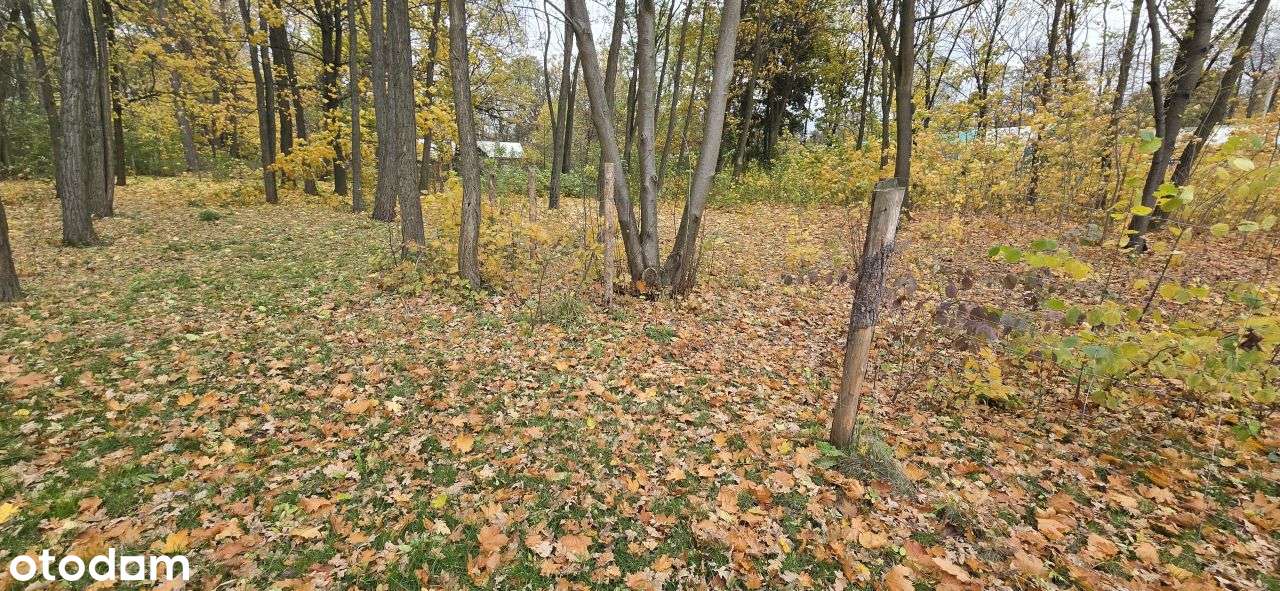 Atrakcyjna działka w Podkowie Leśnej . - Pełny obrazek: 4/4