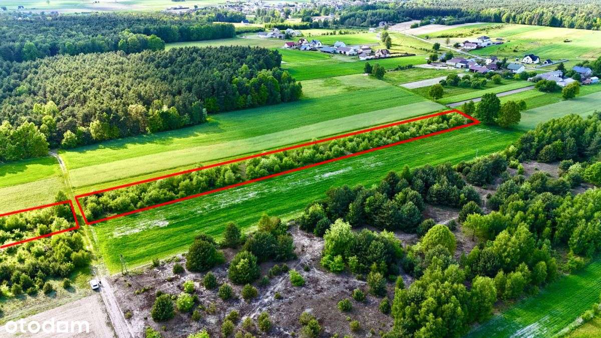 1,4 ha z potencjałem – Żelazna, 45 min.do Warszawy - Pełny obrazek: 4/17