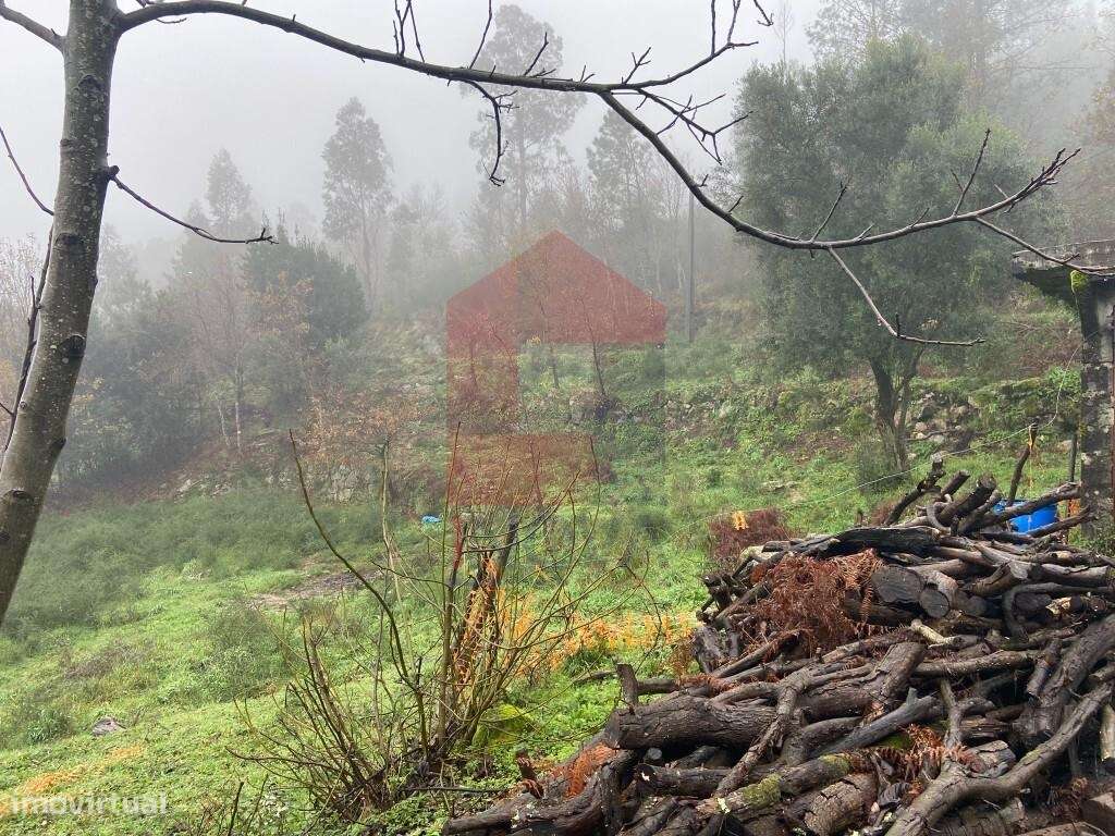 Terreno agrícola, Barros - Grande imagem: 5/14