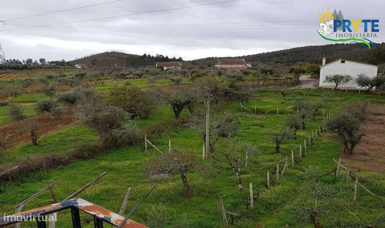 Moradia T3 no Outeiro do Pampilhal - Cernache do Bonjardim - Grande imagem: 4/25