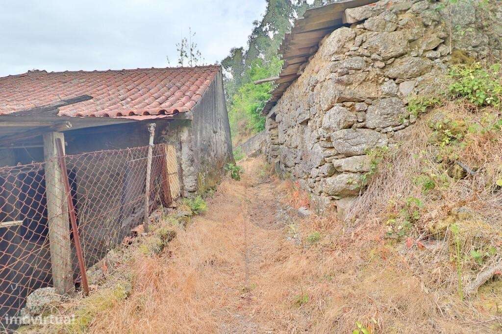 Duas Moradias em Escudeiros c/ aprox. 3.200m2 de terreno-24