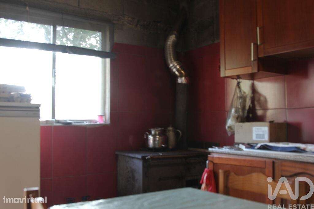 Terreno Agrícola em Oliveira do Hospital e São Paio de Gramaços-28