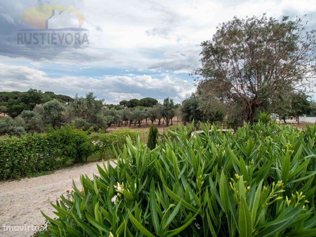 Quinta com 16 ha, com 4 Moradias Unifamiliares, piscina e várias ár...-45