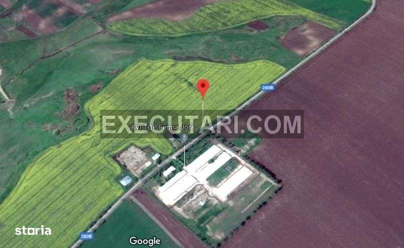 Teren intravilan arabil 40.000 m² - Targu Frumos - Iasi - Imagine principală: 4/5