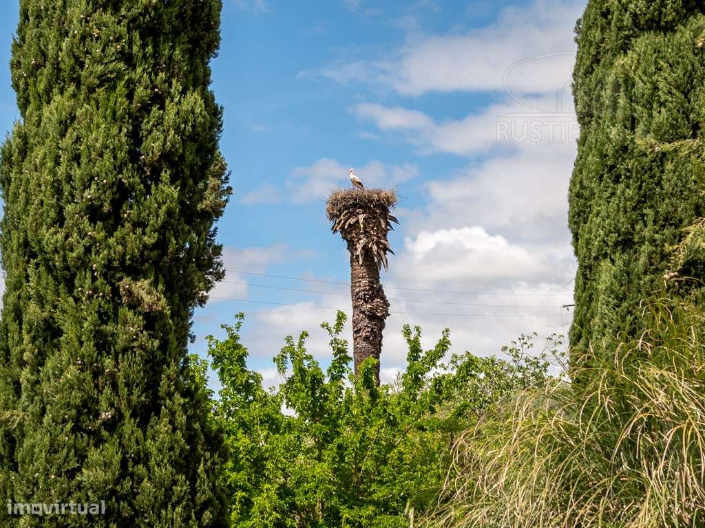 Um Refúgio Exclusivo no Coração do Alentejo | Assumar, Portugal-11