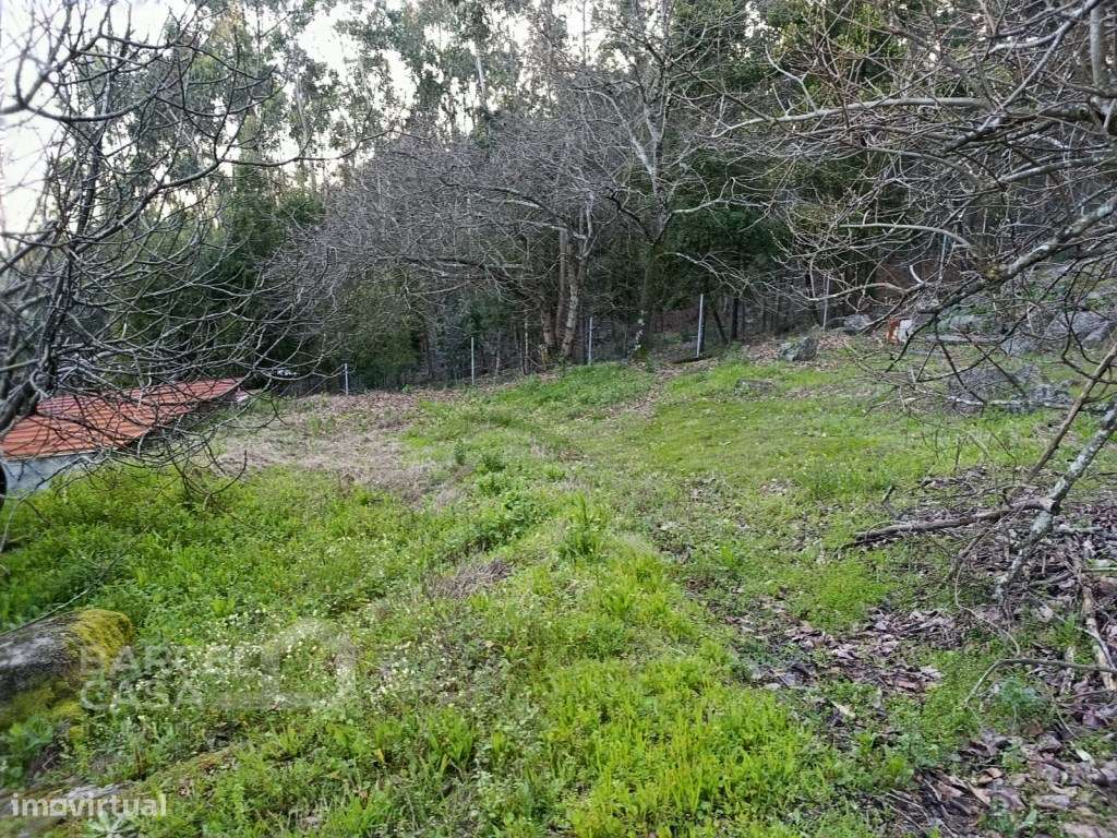 Casa de 48m2 para recuperar, com terreno de construção em Alheira -...-5