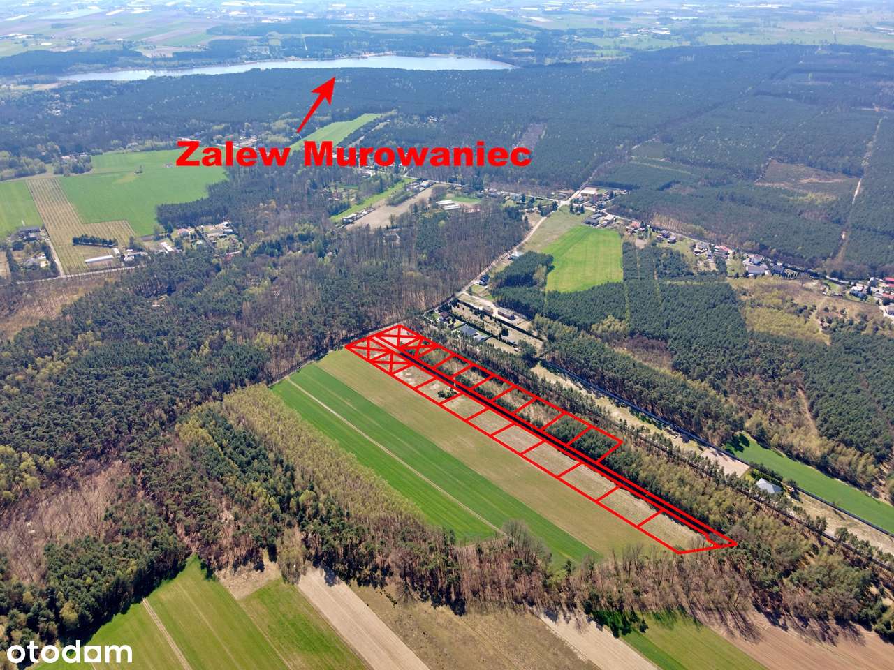 Działki budowlane pod lasem – Młynisko gm. Koźminek-11