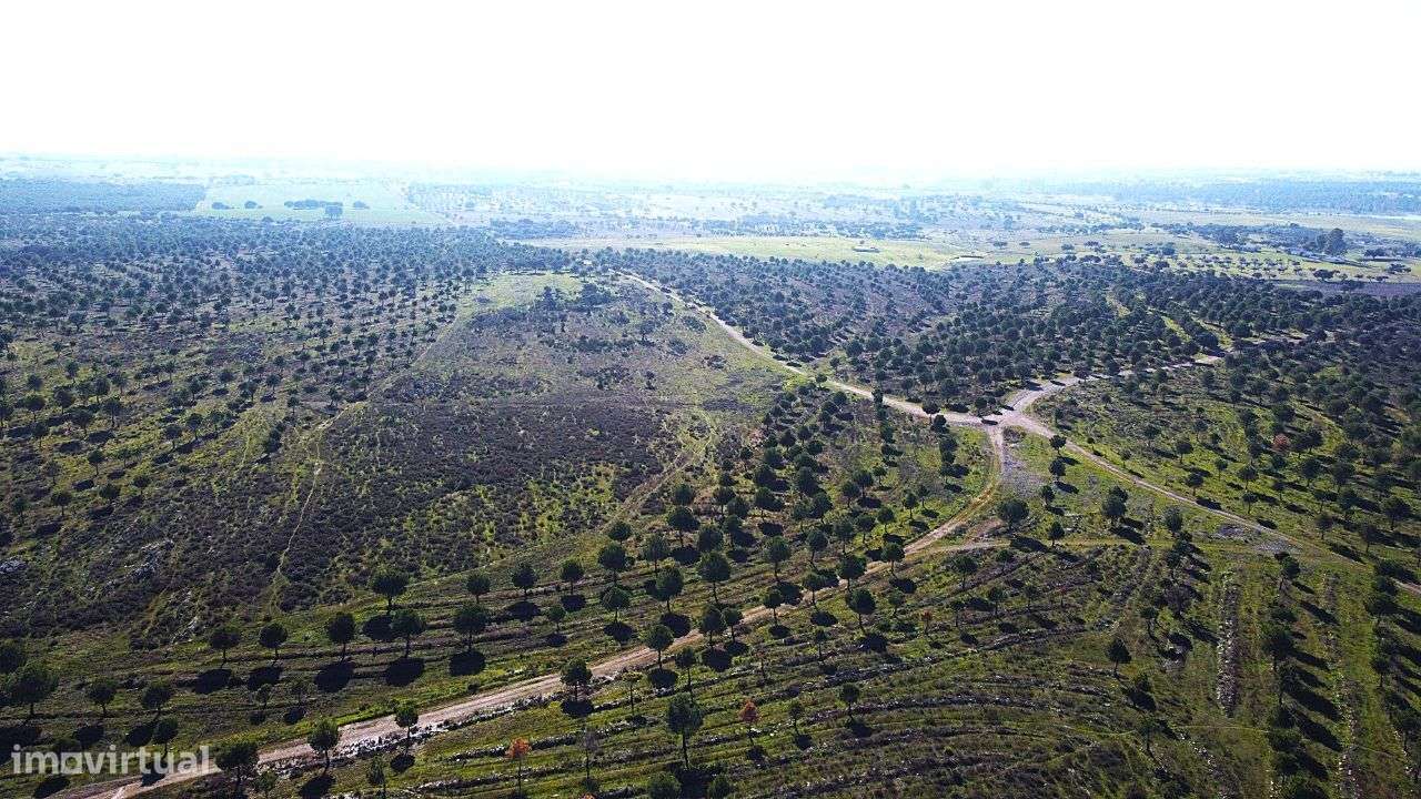 Herdade junto ao Lago de Alqueva - Mourão-11
