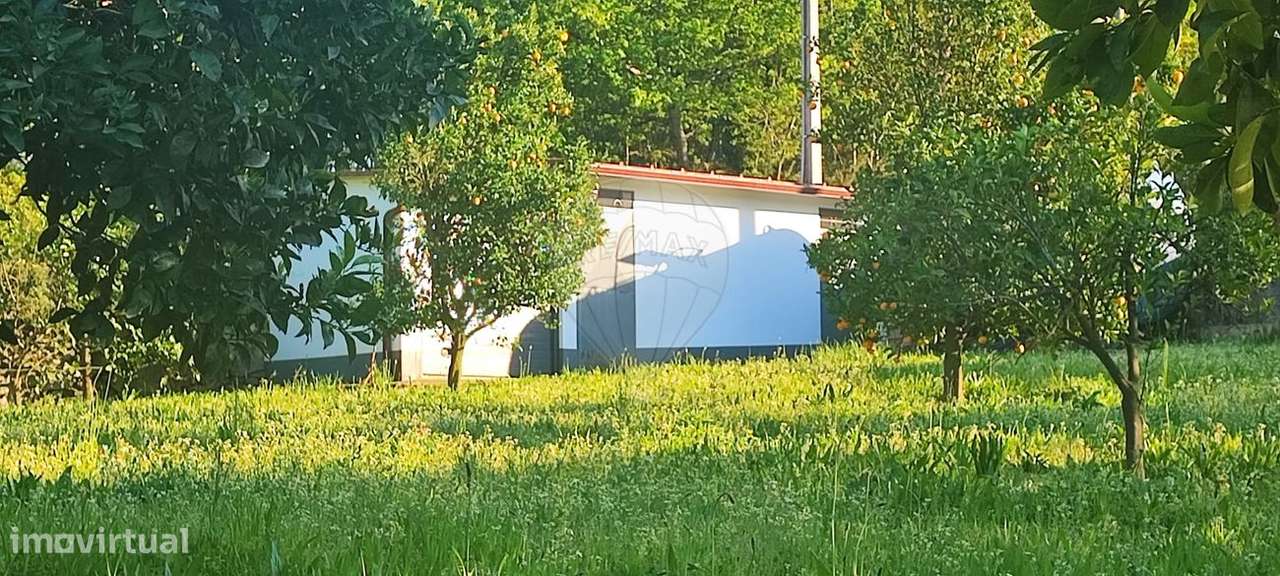 Terreno  para venda - Grande imagem: 5/12