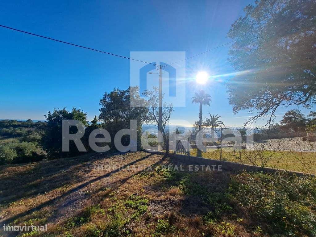 Terreno rústico em Estoi - Grande imagem: 4/22