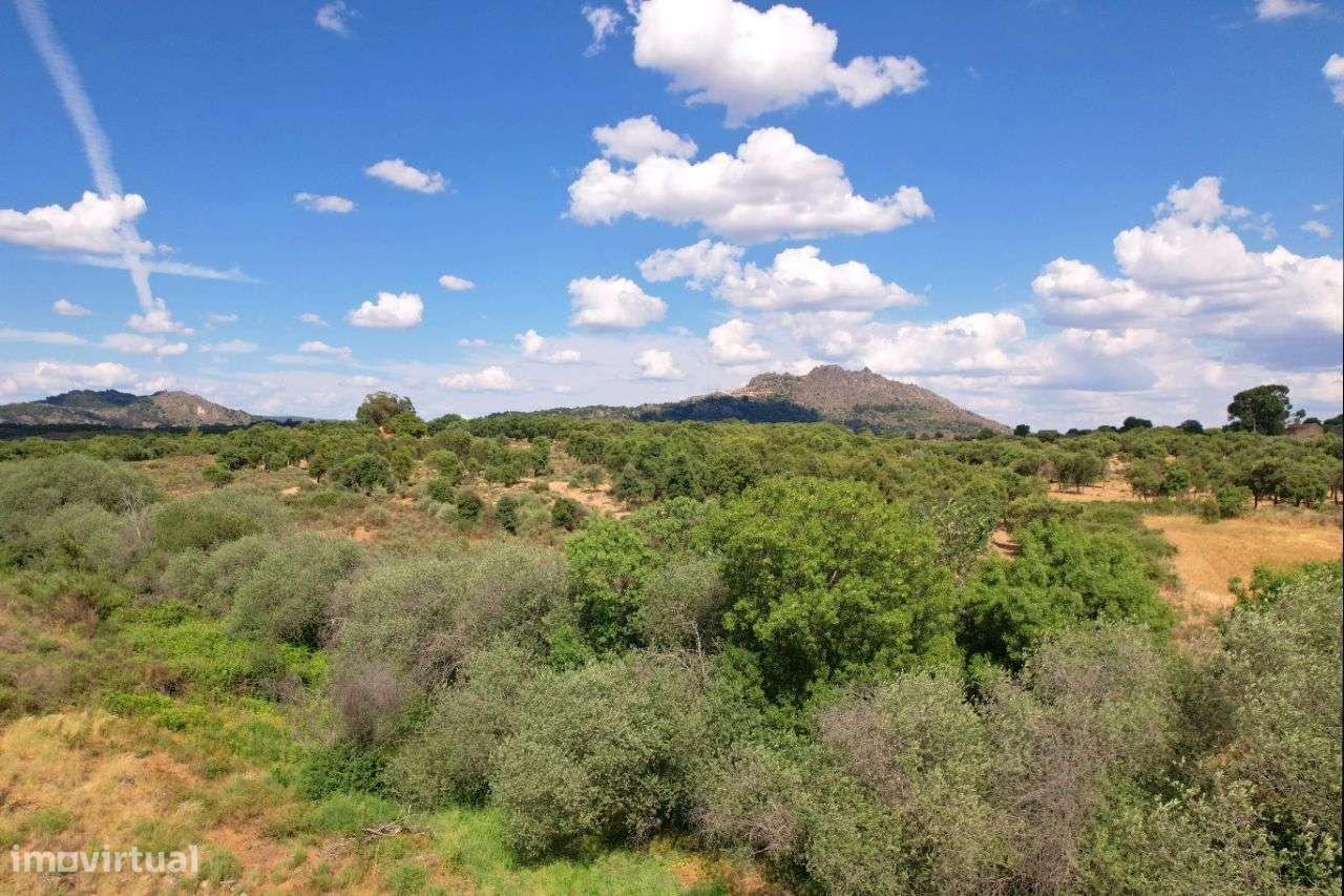 Quinta com vistas fantásticas para Monsanto-25