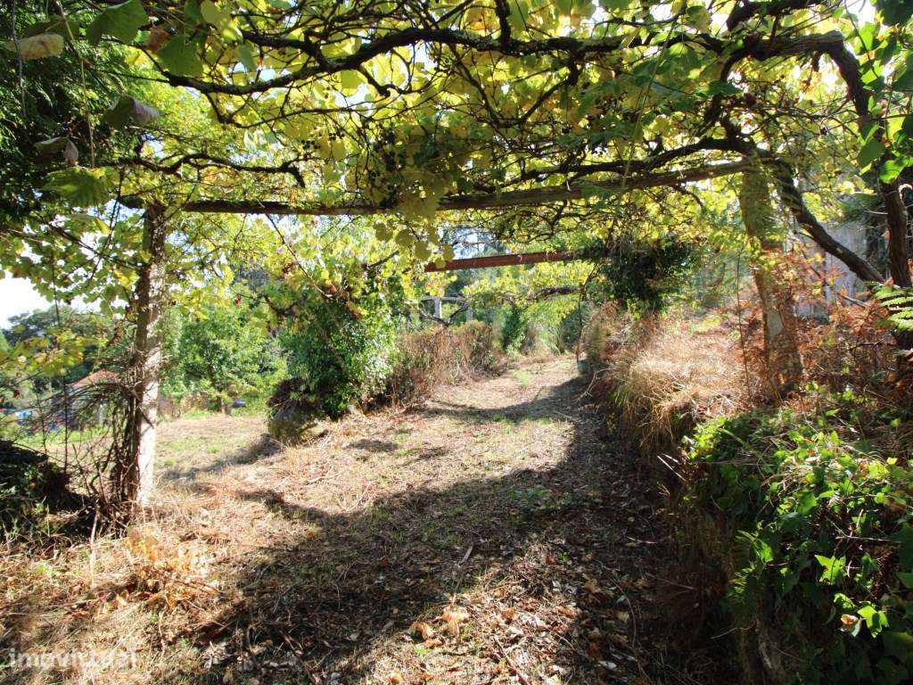 Terreno - Grande imagem: 5/24