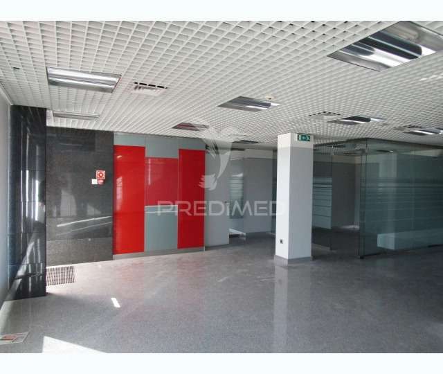 Loja de Comercio em Carrgal do Sal  ,Currelos, Papizios e Sobral - Grande imagem: 5/9