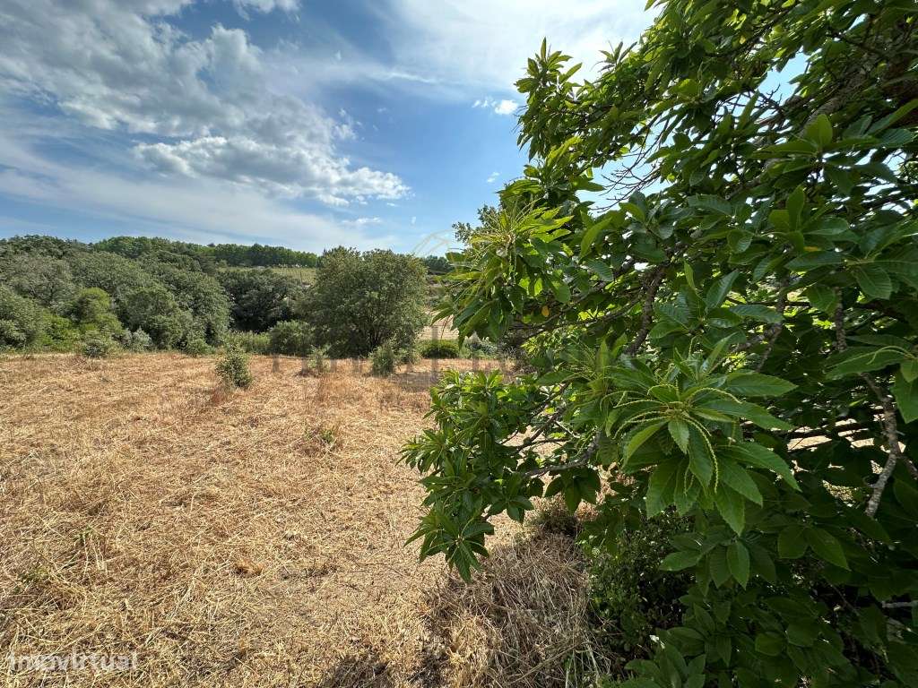 Terreno rustico com 11000m2 Não é permitida construção - Grande imagem: 4/23