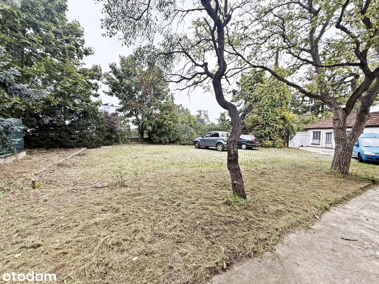 Dom, 520 m², Zielona Góra-18