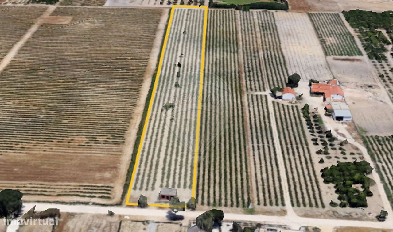 Terreno  para venda - Grande imagem: 4/4